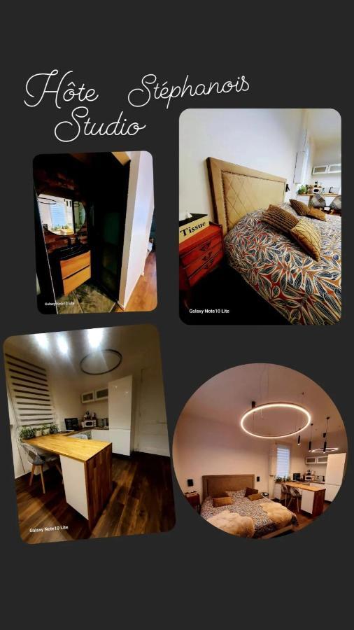 Hote Stephanois Studio, Parking& Borne Electrique Saint-Etienne  Dış mekan fotoğraf